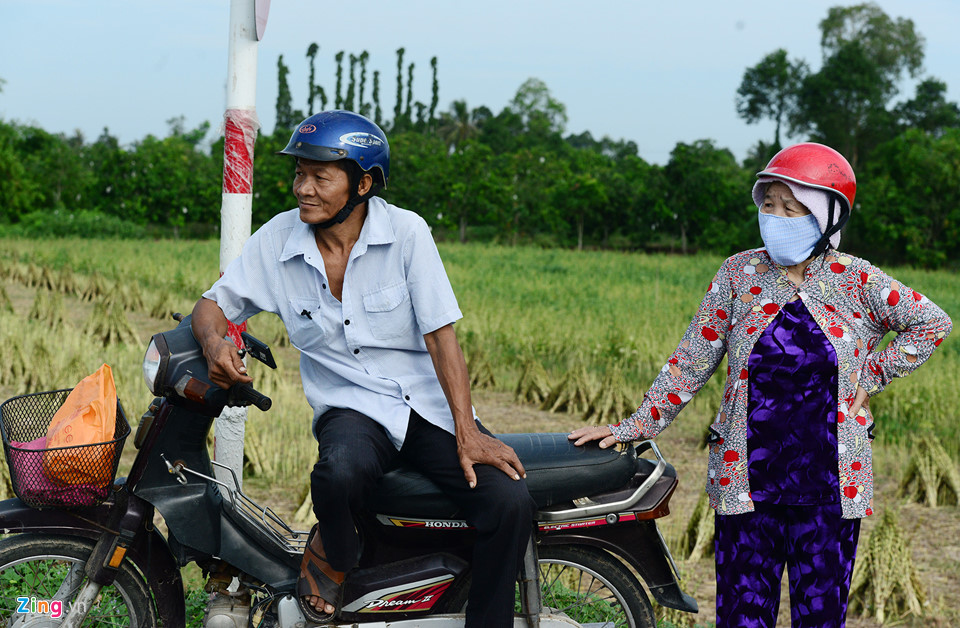 Người miền Tây đội nắng xem khánh thành cầu 3.000 tỷ